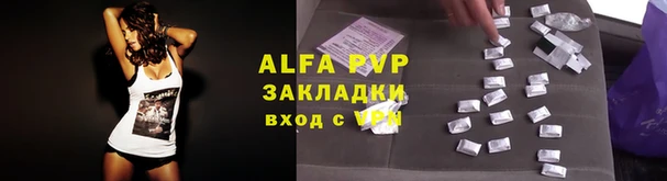 гашик Аркадак
