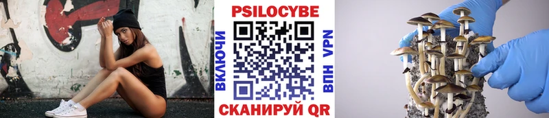 Псилоцибиновые грибы Psilocybine cubensis  Курск 